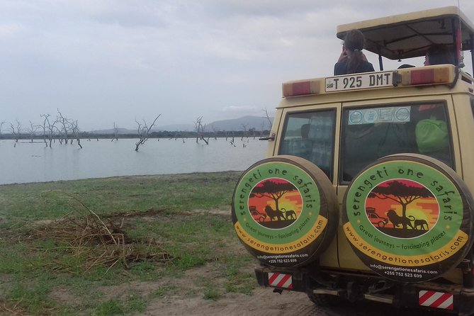 Tanzania Trip Amazing Tarangire Ngorongoro and Manyara - Ngorongoro Crater from rim to crater floor