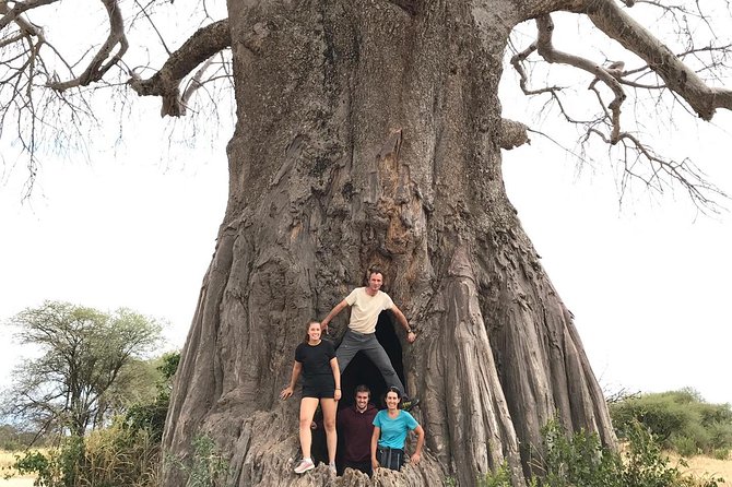 Tanzania Trip Amazing Tarangire Ngorongoro and Manyara - Materuni Waterfalls and coffee in the Kilimanjaro foothills