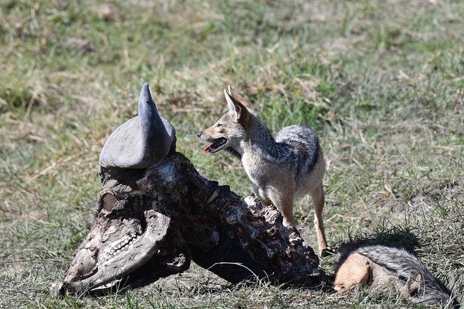 Tanzania Wildlife Cultural Safari from Arusha. - Karatu brings a slower, more human day