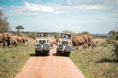 Tanzania Wildlife Encounters – 6 Days