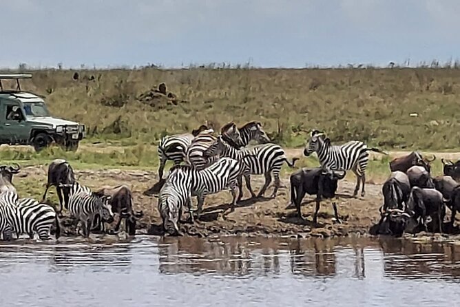 Tanzania Wildlife Safari Budget Camping - Day 2: Lake Manyara changes the view