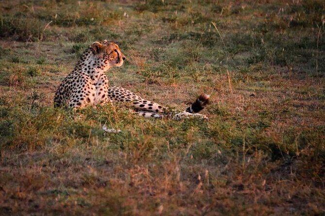 Tarangire National Park Day Trip - Reaching Tarangire and understanding its setting