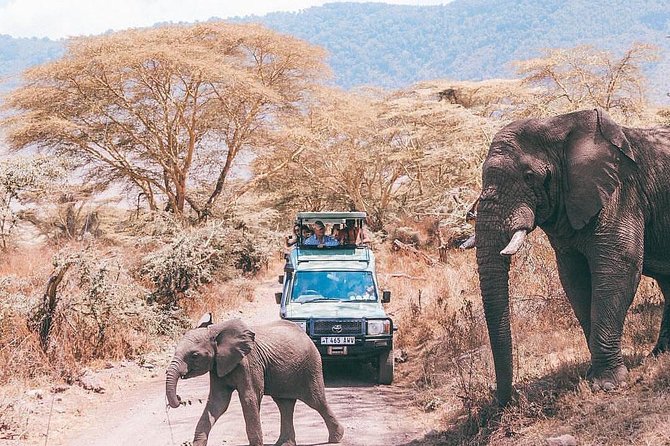 tarangire & ngorongoro 2 days tour - Day one: Tarangire’s elephants and predator search