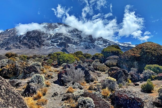 The 6 Days Kilimanjaro Climbing Tour via Machame Route in 2025/26 - Why the six-day Machame Route is appealing