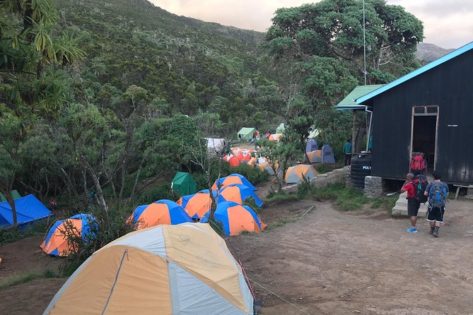 The 6 Days Kilimanjaro Climbing Tour via Machame Route in 2025/26 - Day four: the Barranco Wall and Barafu Camp