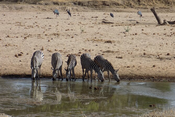 The Amaizing Private Day Trip to the lovely Arusha National Park - What the $450 price really covers