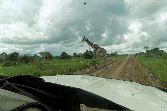 The Amaizing Private Day Trip to the lovely Arusha National Park - The 4x4 ride through forest and open parkland