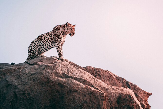 The Best 2-Days 1-night Tanzania Budget Group Joining Safari Tour - Leaving Arusha for Tarangire National Park