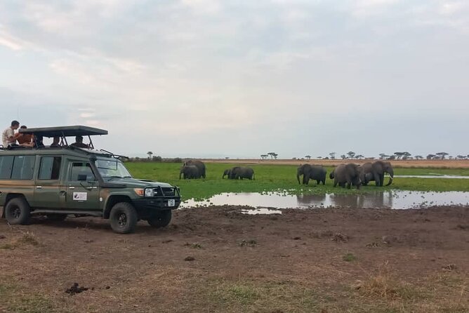 The Best 3Days Start from Mwanza to Serengeti' through Viator - Day three: Descending into Ngorongoro Crater