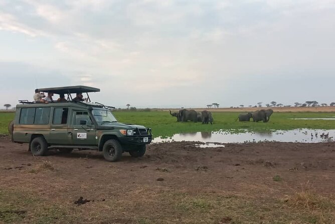 The Best 3Days Start from Mwanza to Serengeti' through Viator - The private vehicle is the main value