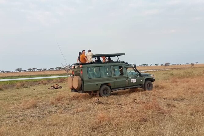 The Best 3Days Start from Mwanza to Serengeti' through Viator - Price, timing, and what is not included