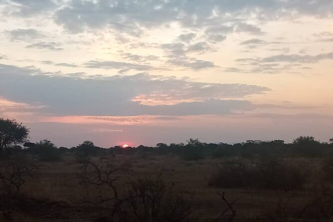 The Best 3Days Start from Mwanza to Serengeti' through Viator - Who should book this route?