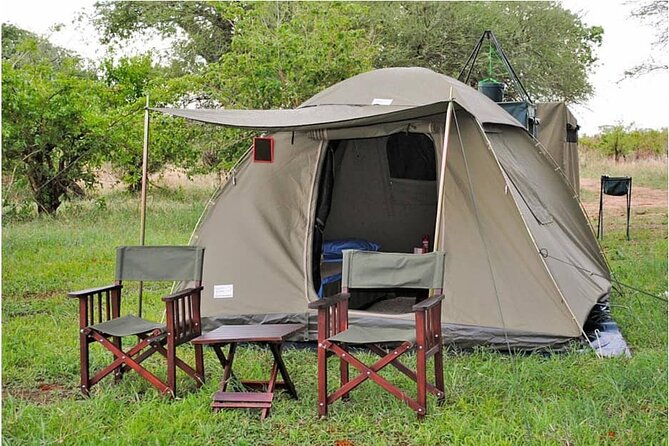The Best 3Days Start from Mwanza to Serengeti' through Viator - Day two: Seronera and the heart of the Serengeti