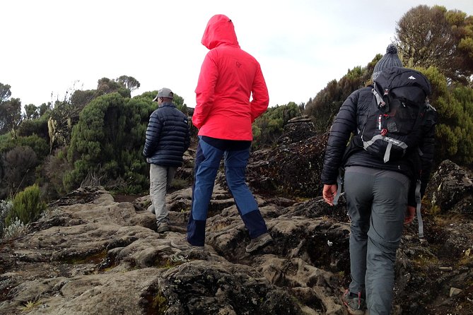 The best 6-Days Kilimanjaro hiking (Machame route)whiskey route - Day 1: Machame Gate to the 3,000-meter camp