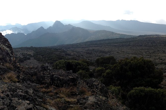 The best 6-Days Kilimanjaro hiking (Machame route)whiskey route - Day 5: The missing summit schedule needs attention