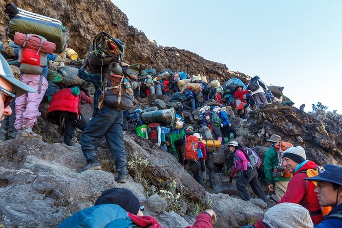 The best 6-Days Kilimanjaro hiking (Machame route)whiskey route - Day 6: Mweka Camp to the gate