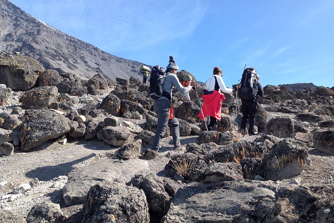 The best 6-Days Kilimanjaro hiking (Machame route)whiskey route - Day 2: Shira Cave and the first high views