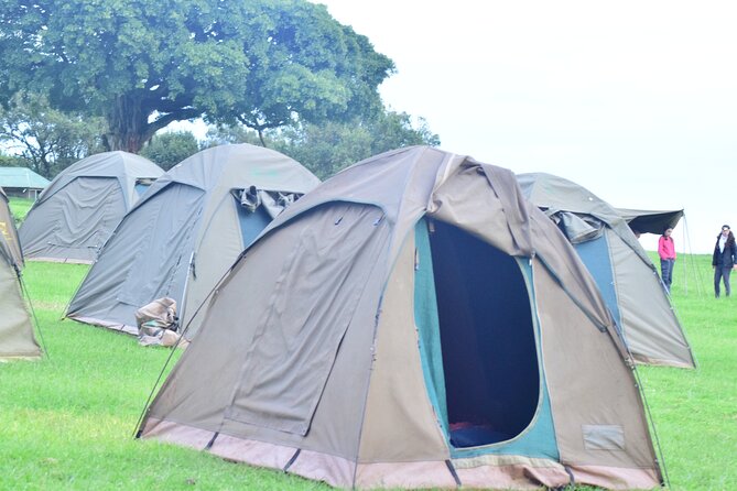 The Best and Most Affordable 4-Day Tanzania Budget Private Safari - Day three: Ngorongoro Crater and a rim overnight