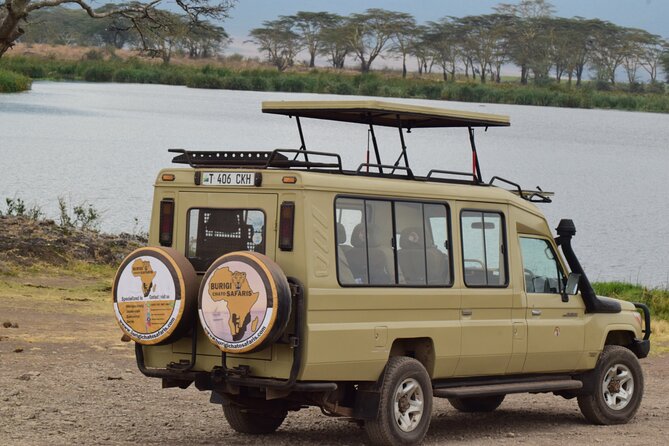 The Best and Most Affordable 4-Day Tanzania Budget Private Safari - Day two: eight hours across the Serengeti