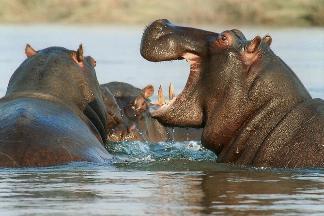 The best Selous 1 day safari from Zanzibar - The early start from your Zanzibar hotel