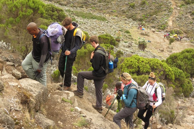 The Best & Unique Kilimanjaro Hiking tour 7 days Machame route - Day 1: Machame Gate to Machame Camp