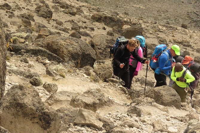 The Best & Unique Kilimanjaro Hiking tour 7 days Machame route - Day 3: Shira 2, Lava Tower, and Barranco