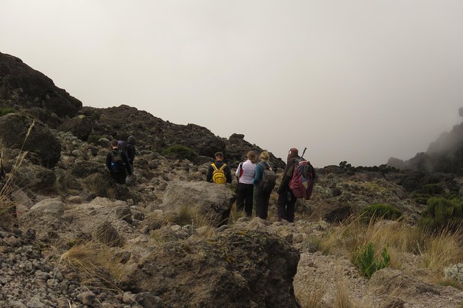 The Best & Unique Kilimanjaro Hiking tour 7 days Machame route - Day 4: Barranco Camp to Karanga Camp