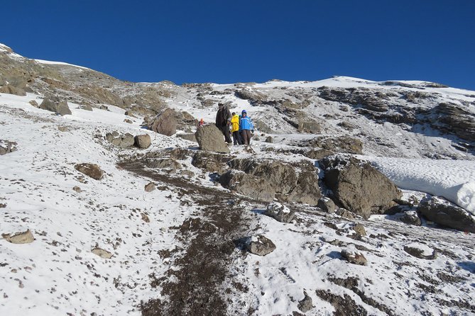 The Best & Unique Kilimanjaro Hiking tour 7 days Machame route - Day 2: Machame Camp to Shira 2 Camp