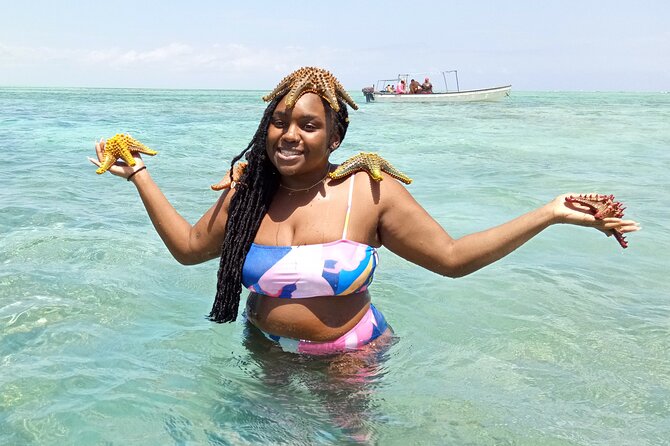 The Rock Restaurant & Blue Lagoon Half Day Tour in Zanzibar - What the $85 price really covers