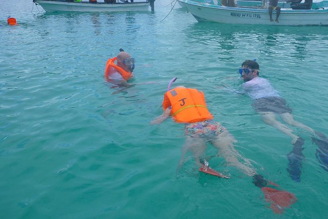 The Rock Restaurant & Blue Lagoon Half Day Tour in Zanzibar - Who will enjoy this outing most