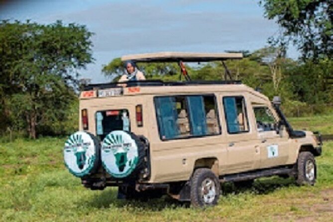 The Top Rated 6-Day Serengeti Budget Camping Safari in Tanzania - Day 3: A full game drive in Central Serengeti