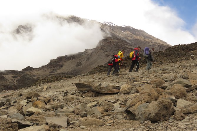 The Ultimate 8-day Lemosho route Climbing Kilimanjaro - Day 4: Shira 2 to Lava Tower at 3,840 meters