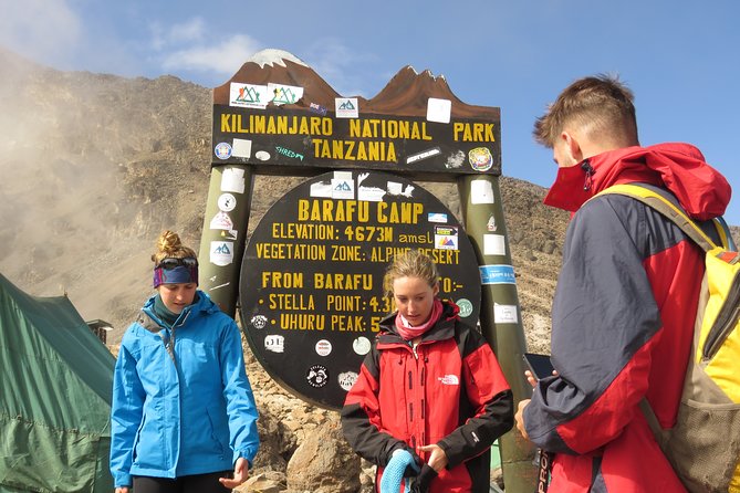 The Ultimate 8-day Lemosho route Climbing Kilimanjaro - Day 7: Uhuru Point and the long descent