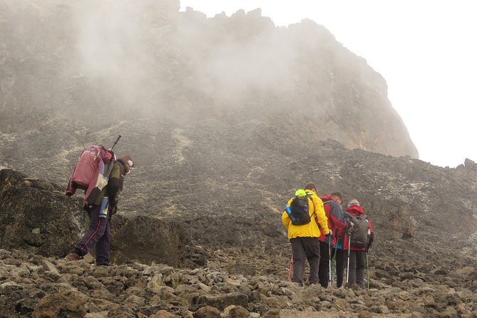 The Ultimate 8-day Lemosho route Climbing Kilimanjaro - Day 2: Mti Mkubwa to Shira 1 and the first big change in scenery