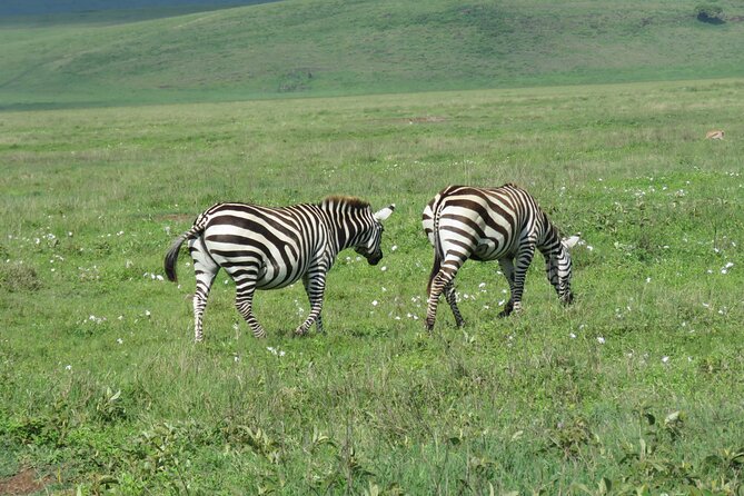 The World's Most Affordable 5-day Serengeti Budget Camping Safari - Day 4: Sunrise in the Serengeti, then Ngorongoro