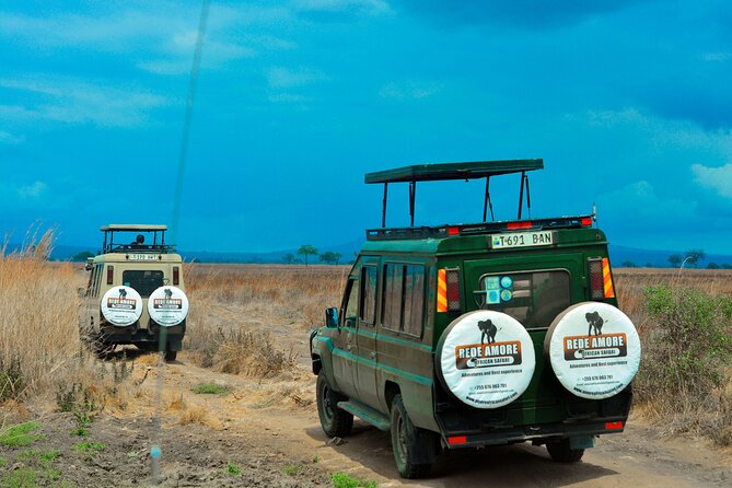 Top Best 5 Days Tanzania Luxury Safari to Serengeti - Tarangire: elephants and baobabs on day one