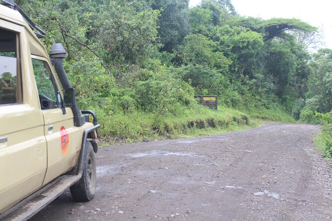 Tour at Arusha National Park - Momela Lakes bring color and birdlife