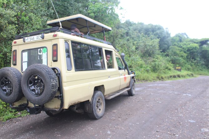Tour at Arusha National Park - Picnic lunch inside the park