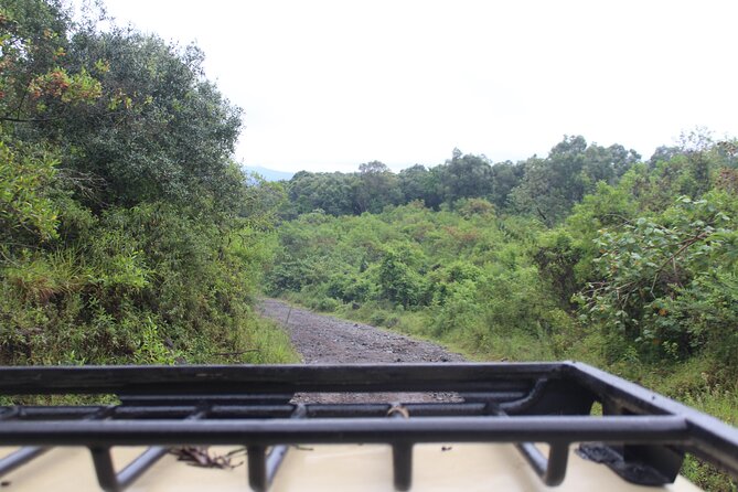 Tour at Arusha National Park - Walking and canoe options change the experience