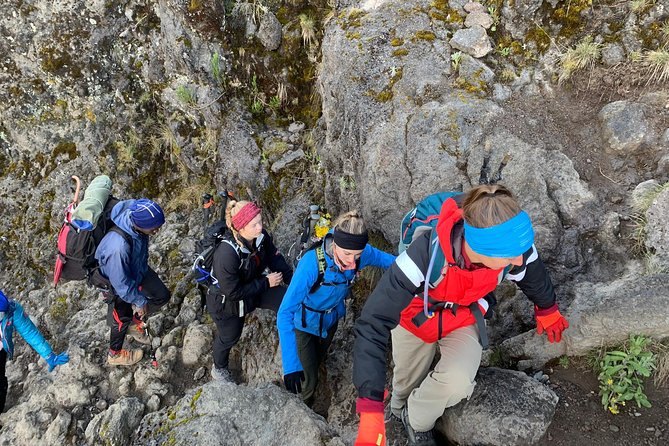 Trek To Mount Kilimanjaro - A support team that covers the basics