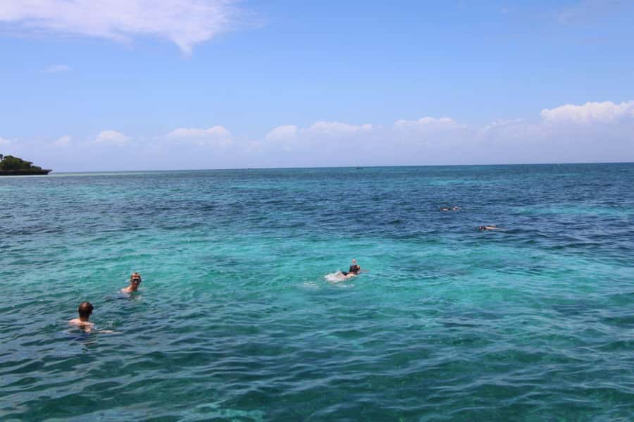 Tumbatu island snorkling tour : from Kendwa & Nungwi - From Nungwi or Kendwa to the open water