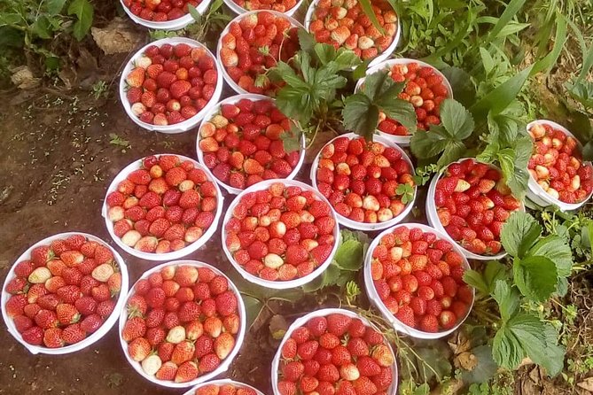 Uluguru mountain overnight 2 nights 3 days - Food, camping, and what the price covers