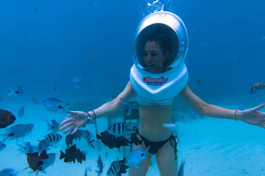 Underwater Walking Experience in Zanzibar,No Swimming Needed - What the sea life feels like from ground level