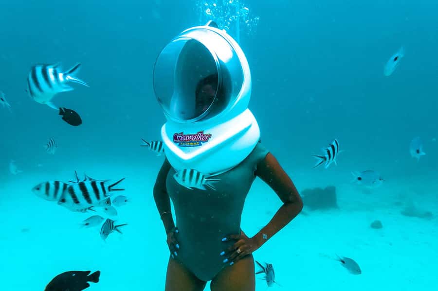 Underwater Walking Experience in Zanzibar,No Swimming Needed - Who will enjoy it most