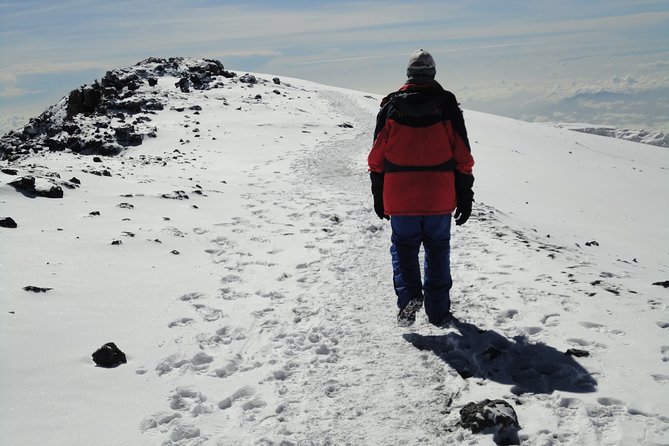 Unforgettable 8 Days Lemosho Route Trekking on Kilimanjaro - Moshi to Mti Mkubwa Camp on day one