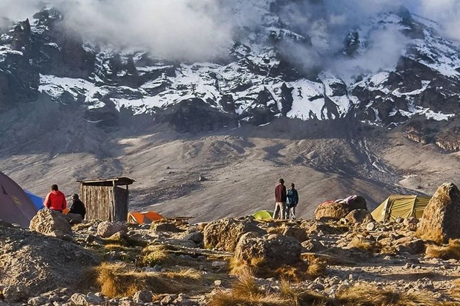 Unforgettable 8 Days Lemosho Route Trekking on Kilimanjaro - Descending through Mweka Gate on day eight