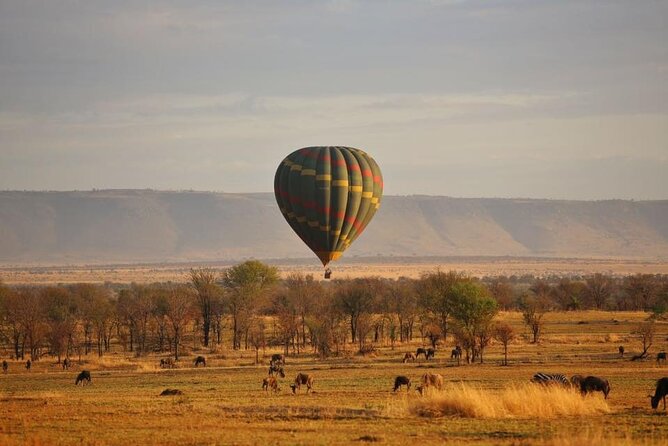 Unforgettable Tanzania Safari And Zanzibar Beach - From Kilimanjaro Airport to a quiet first night in Arusha