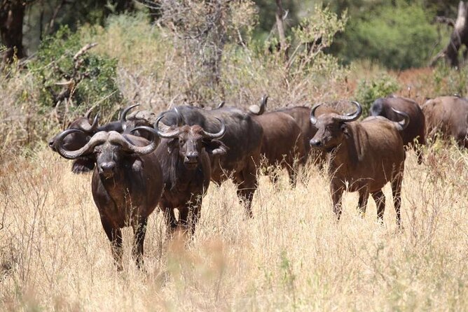 Unforgettable Tanzania Safari And Zanzibar Beach - What the 4x4 setup means on real park roads
