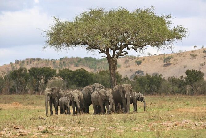 Unforgettable Tanzania Safari And Zanzibar Beach - Is $6,500 per person good value?
