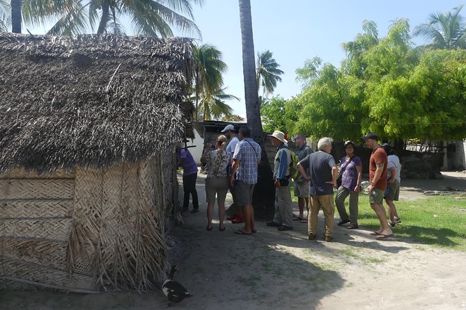 Village Tour With Witch Doctor Visit - A school and hospital in everyday context